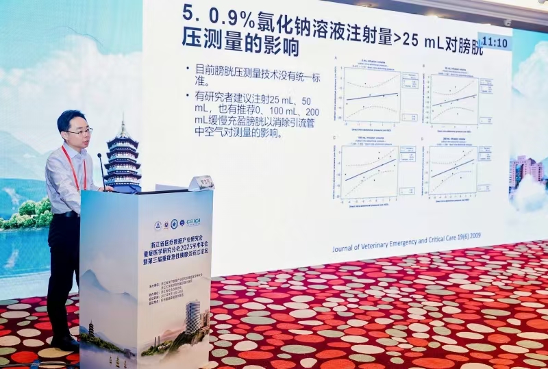 【權(quán)威解讀】再讀《重癥患者腹內(nèi)高壓管理共識(shí)》！解鎖“隱形標(biāo)尺”下的治療新思路